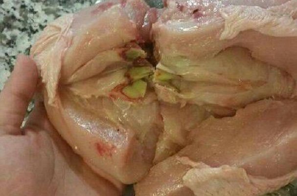 پینه سینه در بوقلمون