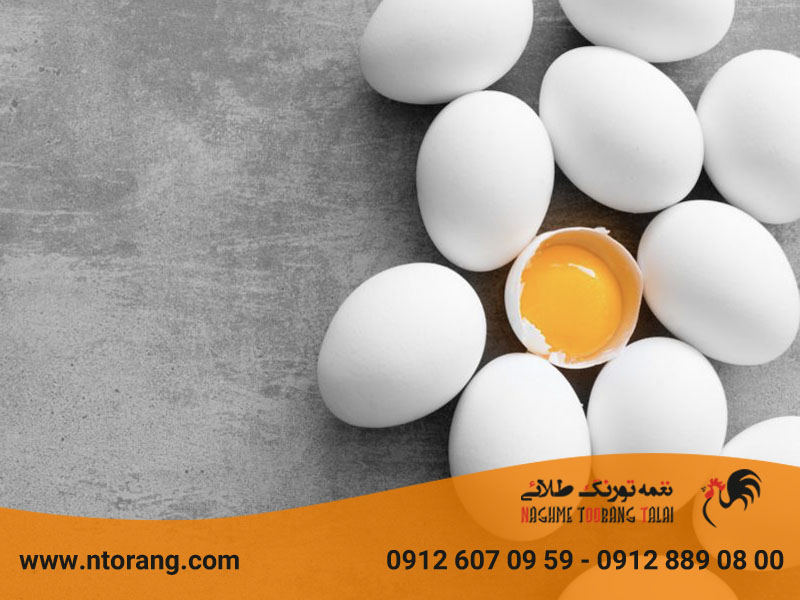 از کجا بفهمیم تخم مرغ فاسد شده