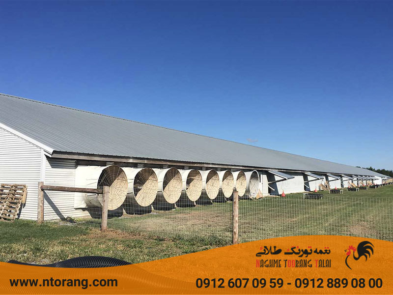 تهویه سالن پرورش بوقلمون