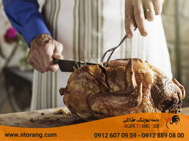 بهترین قسمت گوشت بوقلمون