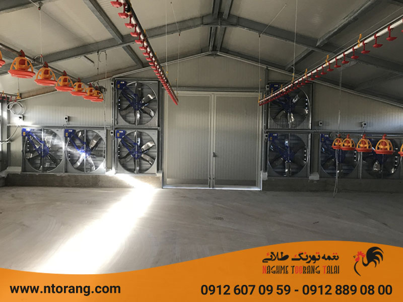 انتخاب سیستم سرمایشی برای سالن مرغداری