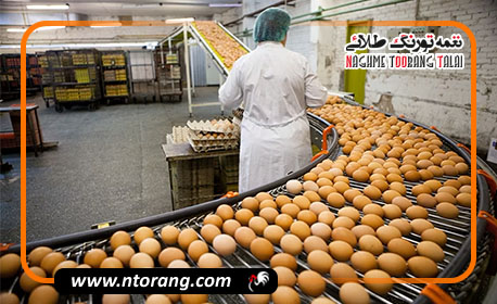 کاهش ۵۰ درصدی ترک‌خوردگی تخم‌مرغ با این ۱۰ راهکار ساده