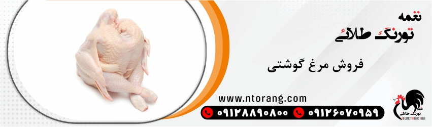 فروش جوجه مرغ گوشتی