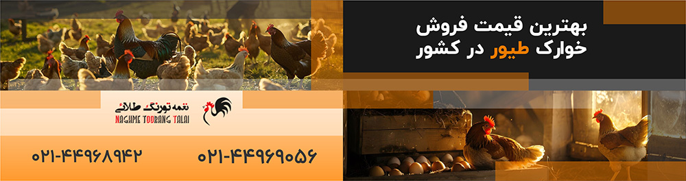 فروش انواع دان و خوراک طیور