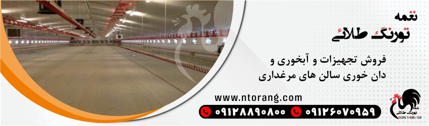 فروش تجهیزات سالن مرغداری