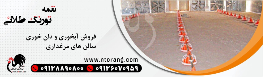 فروش انواع تجهیزات برای راه اندازی سالن مرغداری