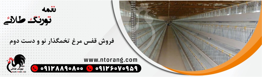فروش قفس مرغ تخم گذار